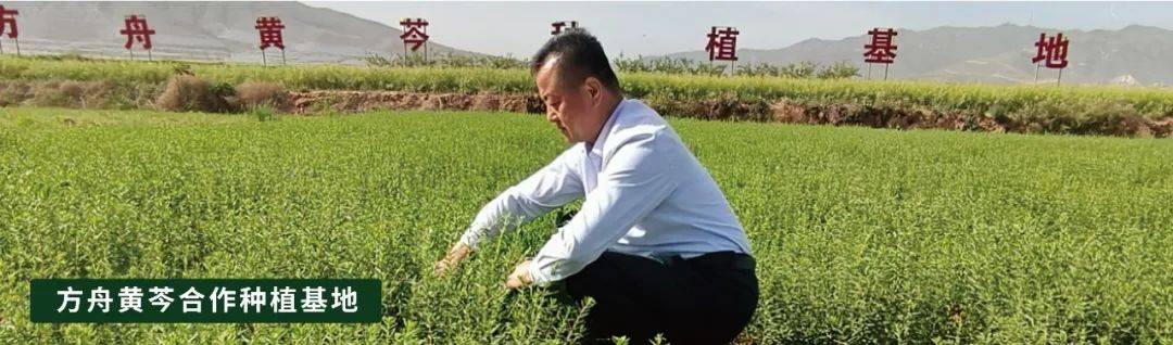 致敬 2025 山东畜牧业博览会 40 年！兴安集团用科技兴